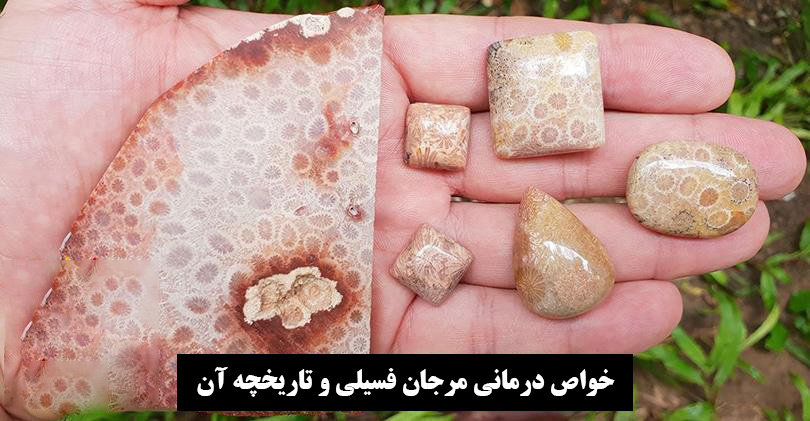 خواص درمانی مرجان فسیلی و تاریخچه آن